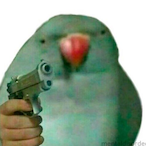 PlastickHitman's Avatar'
