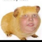 Diccboi69's Avatar'