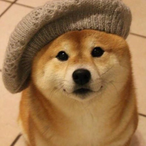 BOT_Shibe's Avatar'