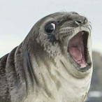 Selfish_Seal's Avatar'