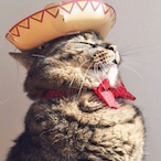 WeltyBox64's Avatar'