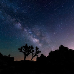 DonDiablo.'s Avatar'