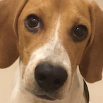 IPuakNaHee's Avatar'