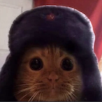 savorylobster's Avatar'