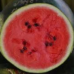 moc_melon's Avatar'
