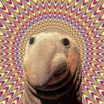 senttogxlag's Avatar'