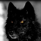 YagoDual's Avatar'
