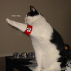 NijgaRapest's Avatar'