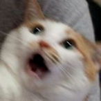 Synull's Avatar'