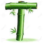 TreeTopTom1212's Avatar'