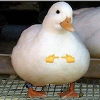 emmasworlds's Avatar'