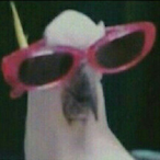 D1CE.desart8104's Avatar'