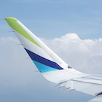 FLY_Southern's Avatar'