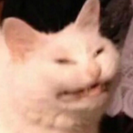 Yeetscourge.'s Avatar'
