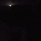 COMMUNISTPANDAZ's Avatar'