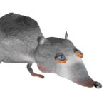 Sqwibbleex's Avatar'