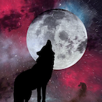 Cyrex.WLF's Avatar'
