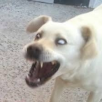 thinking_jwa's Avatar'