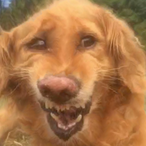 naisuguydesu's Avatar