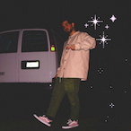 alpaca_ref's Avatar'