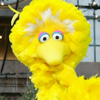 BigBird_Jr.'s Avatar'
