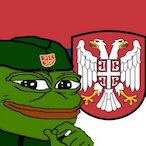 Roki_Vulovic_'s Avatar'