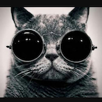 yagiyogi's Avatar'
