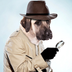 Detective.Dog's Avatar'