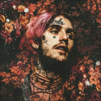fini4eg_'s Avatar'