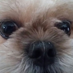 GETREKT.'s Avatar'