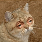 Astro_Waffle's Avatar'