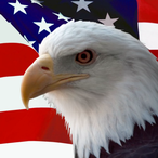 EagleWarrior16's Avatar'