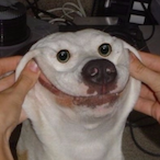 Rando.2Ssec's Avatar'