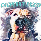 cachorroloco-sp's Avatar'
