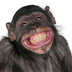 ElBabouchee's Avatar'