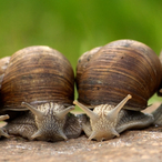 phimo123-FR's Avatar