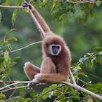 TheDerpyName's Avatar'