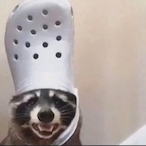 crocsTM's Avatar'