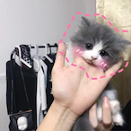 LiUzI_B_I_G's Avatar'