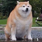 cronus123453's Avatar'