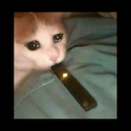 Oswald_III's Avatar'
