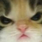 marksivhd's Avatar'