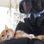 Mastercre8tor's Avatar'