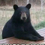 DariMoro's Avatar'