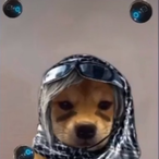 coolydoolydude6's Avatar'