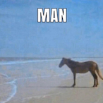 Mayo-Man's Avatar'