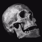 Misterhhsc's Avatar'