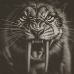 ii_demonfish_'s Avatar'