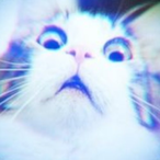 Mr.Hopppers's Avatar'