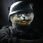 Rakoity's Avatar'